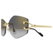 CARTIER CT0620S 001 | Gafas de sol | Vytria Eyewear