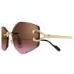 CARTIER CT0620S 004 | Gafas de sol | Vytria Eyewear