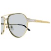 CARTIER CT0425S 006 | Sunglasses | Vytria Eyewear