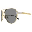 CARTIER CT0425S 006 | Sunglasses | Vytria Eyewear