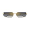 CARTIER CT0544S 001 | Gafas de sol | Vytria Eyewear