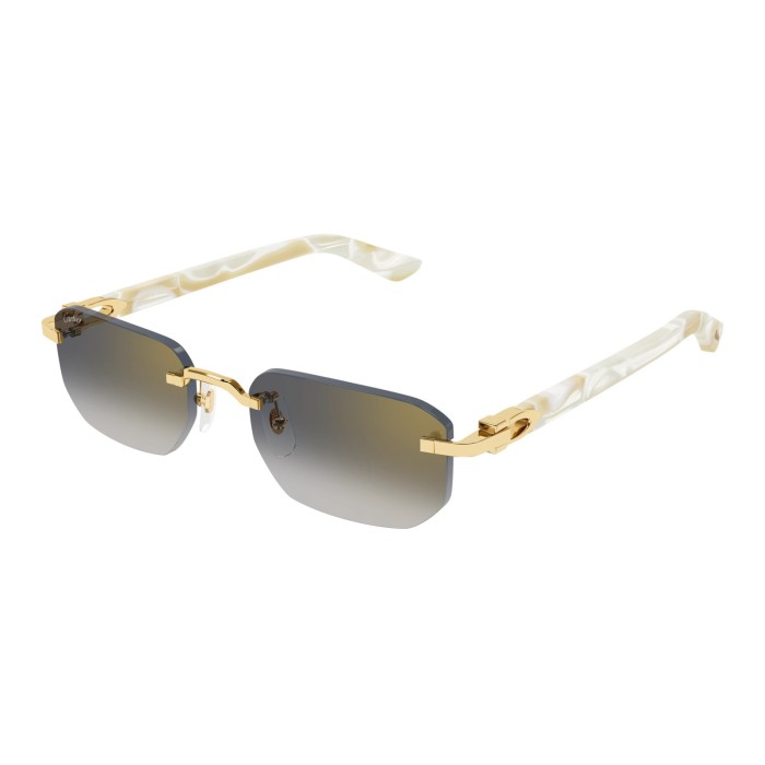 CARTIER CT0622S 004 | Sunglasses | Vytria Eyewear