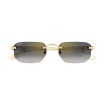 CARTIER CT0622S 004 | Sunglasses | Vytria Eyewear