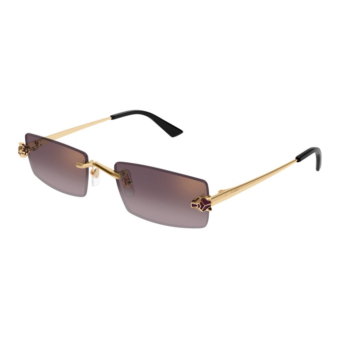 CARTIER CT0598S 005 | Sunglasses | Vytria Eyewear