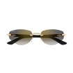 CARTIER CT0580S 001 | Sunglasses | Vytria Eyewear