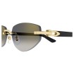 CARTIER CT0580S 001 | Sunglasses | Vytria Eyewear