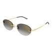 CARTIER CT0642SA 001 | Sunglasses | Vytria Eyewear