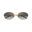 CARTIER CT0642SA 001 | Sunglasses | Vytria Eyewear