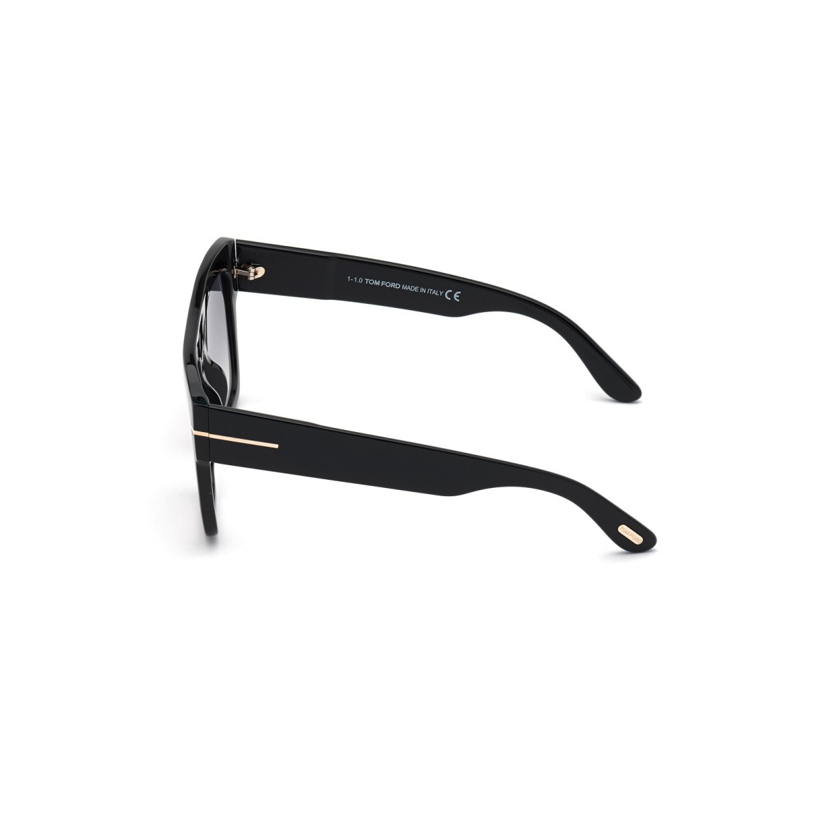 Tom Ford Renee Sunglasses  FT 0847 01B | Rectangular Tom Ford Sunglasses
