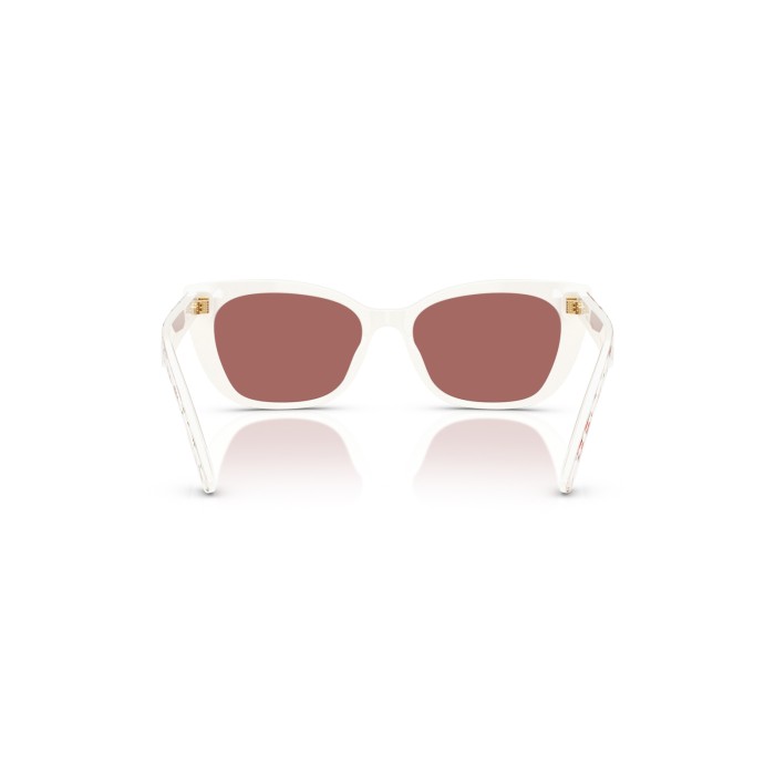 DOLCE GABBANA DX4427 348769