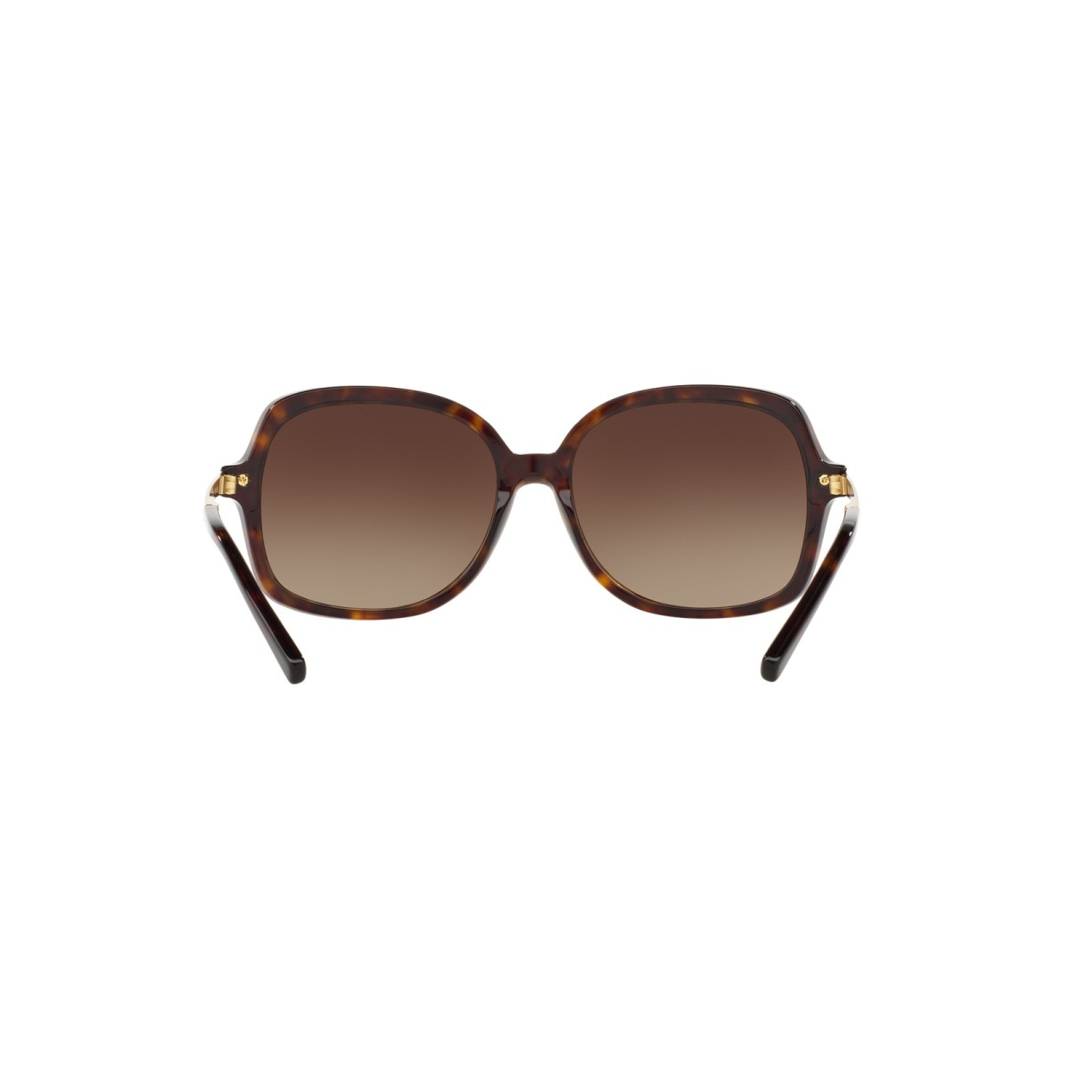 MICHAEL KORS ADRIANNA II MK2024 310613 | Sunglasses | Vytria Eyewear