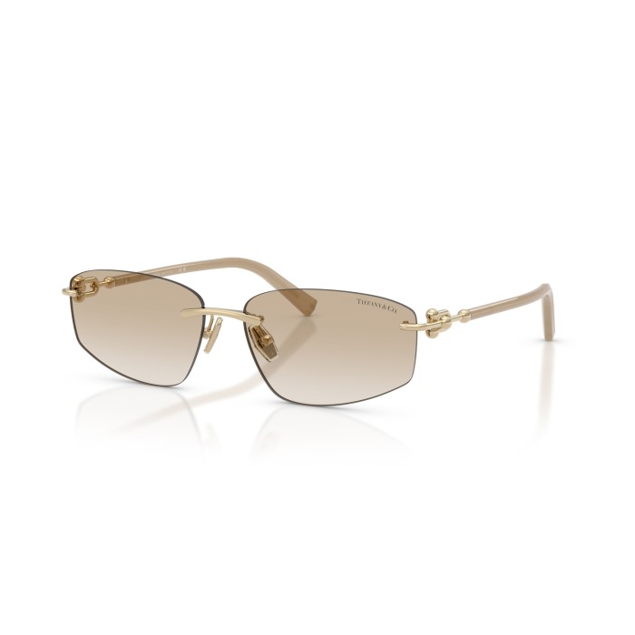 TIFFANY & CO. TF3114 602111
