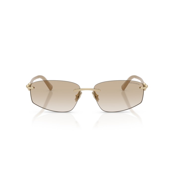 TIFFANY & CO. TF3114 602111