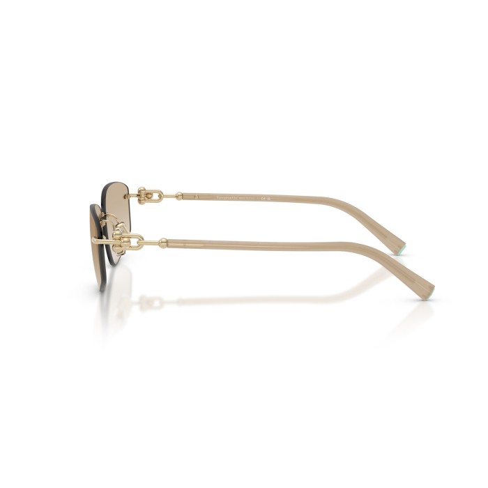 TIFFANY & CO. TF3114 602111