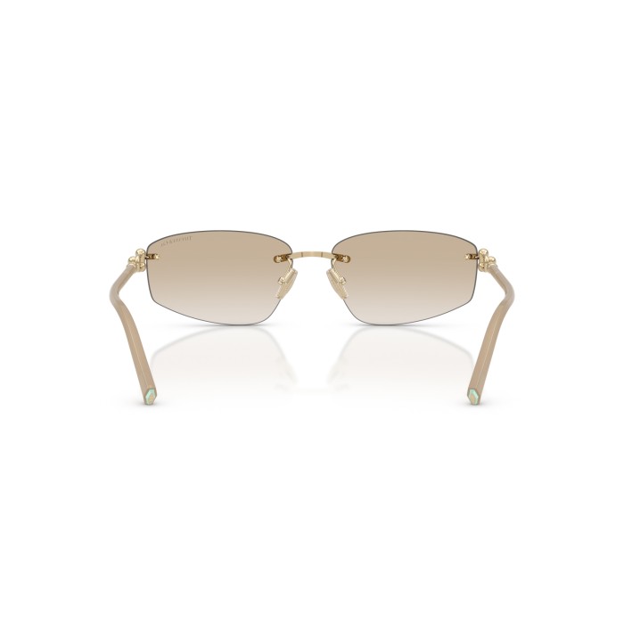 TIFFANY & CO. TF3114 602111