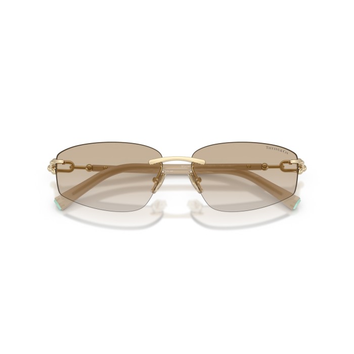 TIFFANY & CO. TF3114 602111