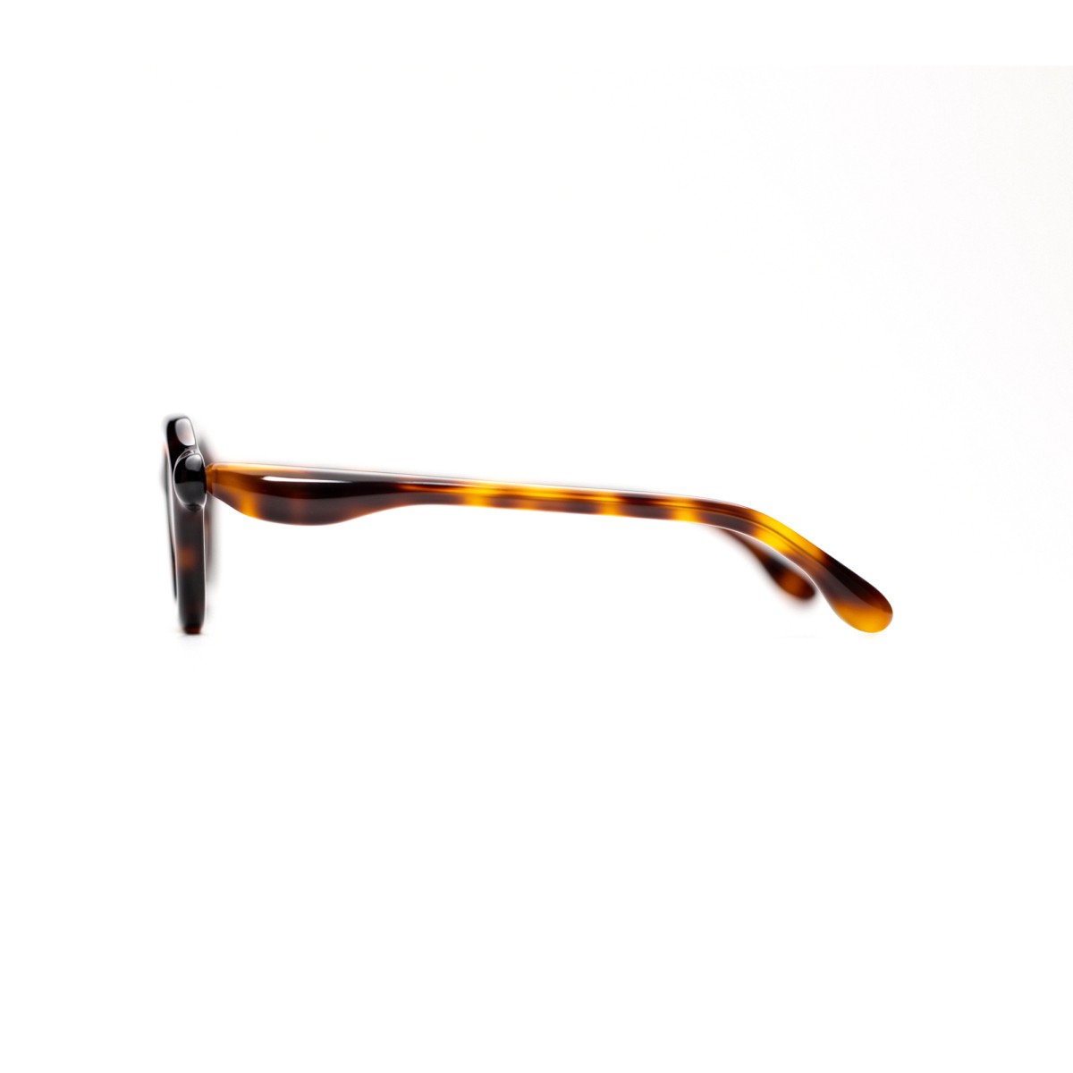 PALOCERAS NOUVELLE FICTION SUN HG-A2 SUN HAVANA GOLD | Sunglasses | Vytria Eyewear