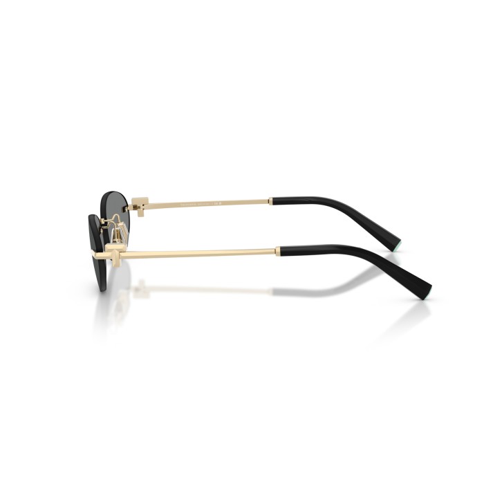 TIFFANY & CO. TF3119D 602187