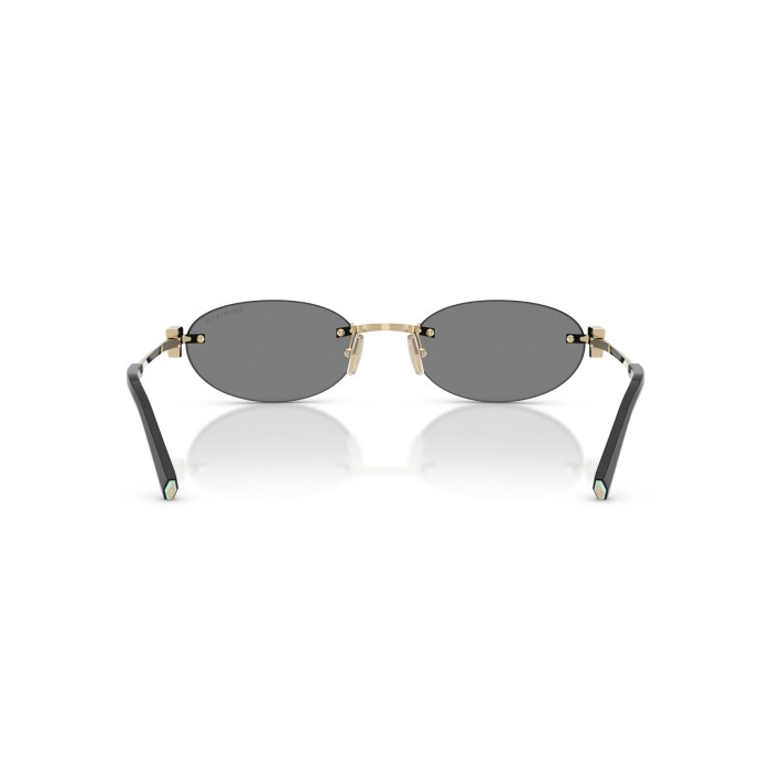 TIFFANY & CO. TF3119D 602187