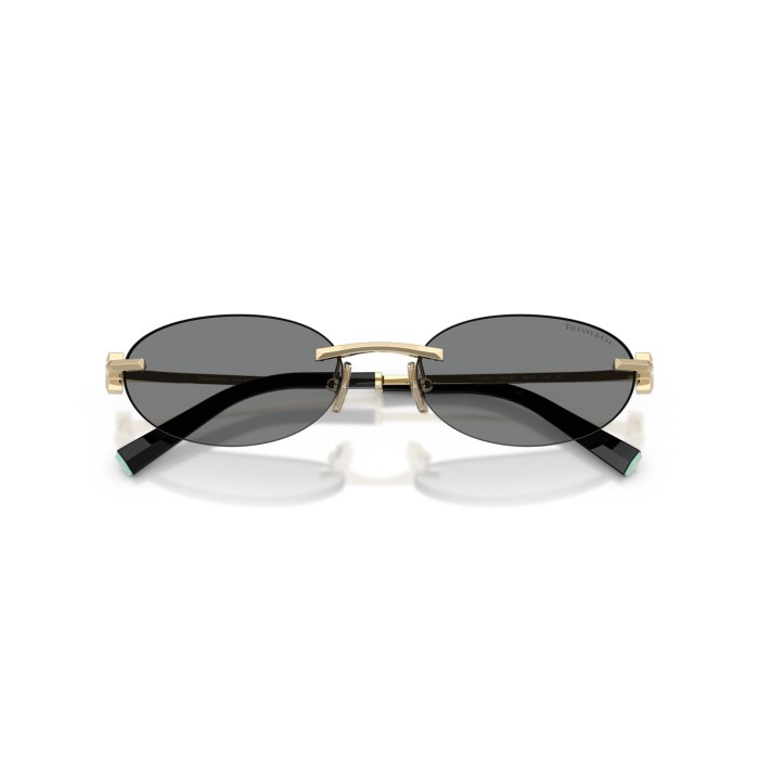 TIFFANY & CO. TF3119D 602187