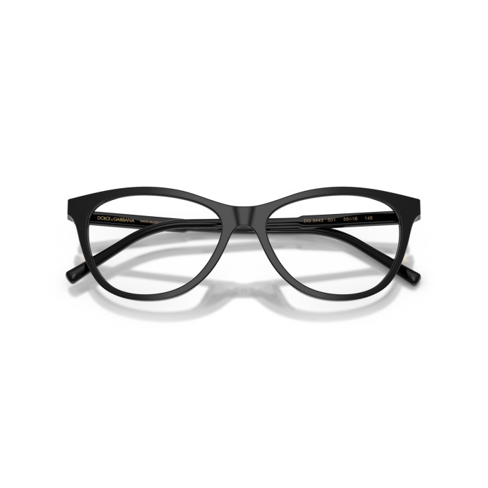 DOLCE GABBANA DG3443 501