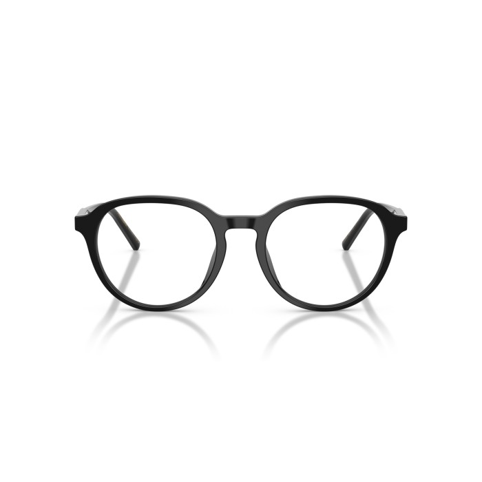 DOLCE GABBANA DG3444 501