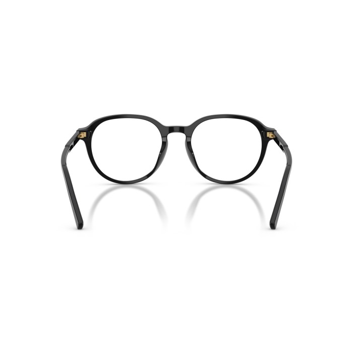 DOLCE GABBANA DG3444 501