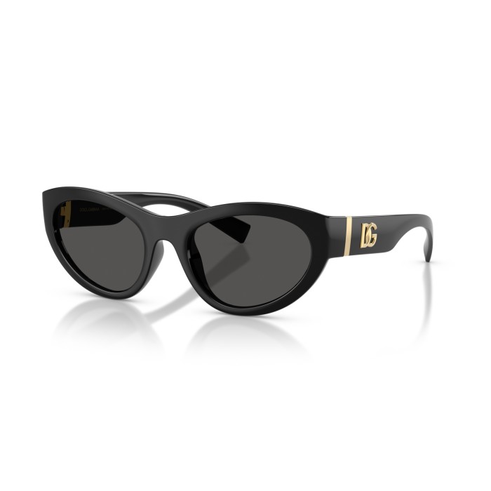 DOLCE GABBANA DG6207 50187 | Sunglasses | Vytria Eyewear