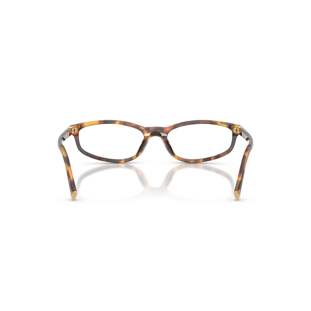 MIU MIU MU 01ZV 14L1O1 | Eyeglasses | Vytria Eyewear