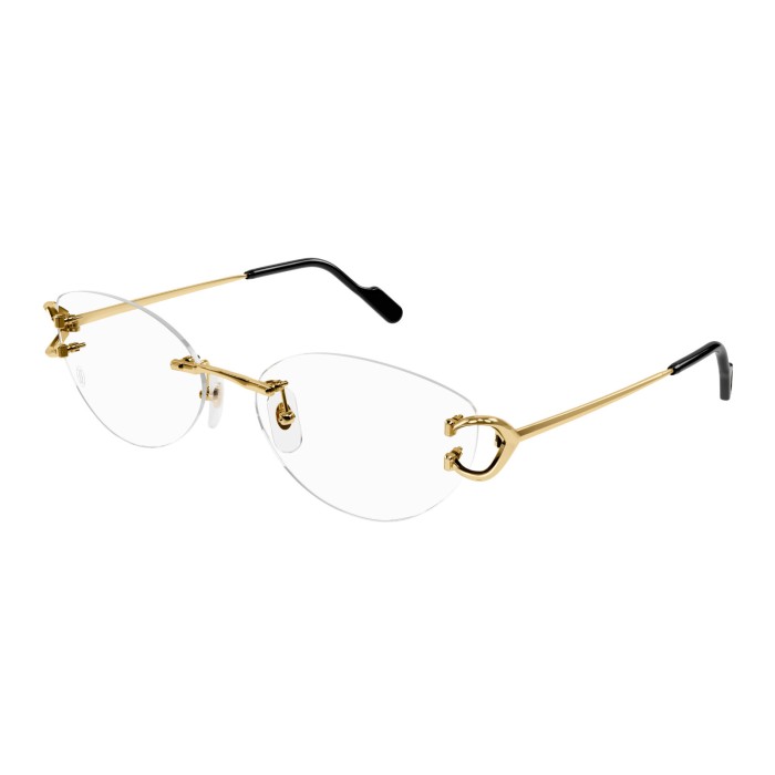 CARTIER CT0487O 001 | Monturas | Vytria Eyewear