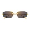 CARTIER CT0474S 001 | Gafas de sol | Vytria Eyewear