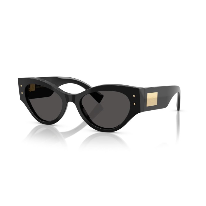 Sunglasses Dolce & Gabbana DG4480 50187