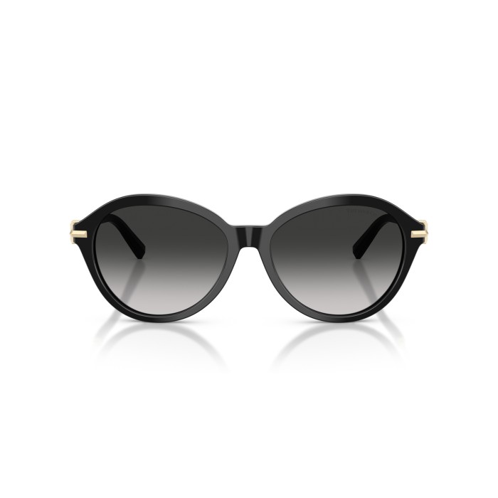 TIFFANY & CO. TF4259 80013C