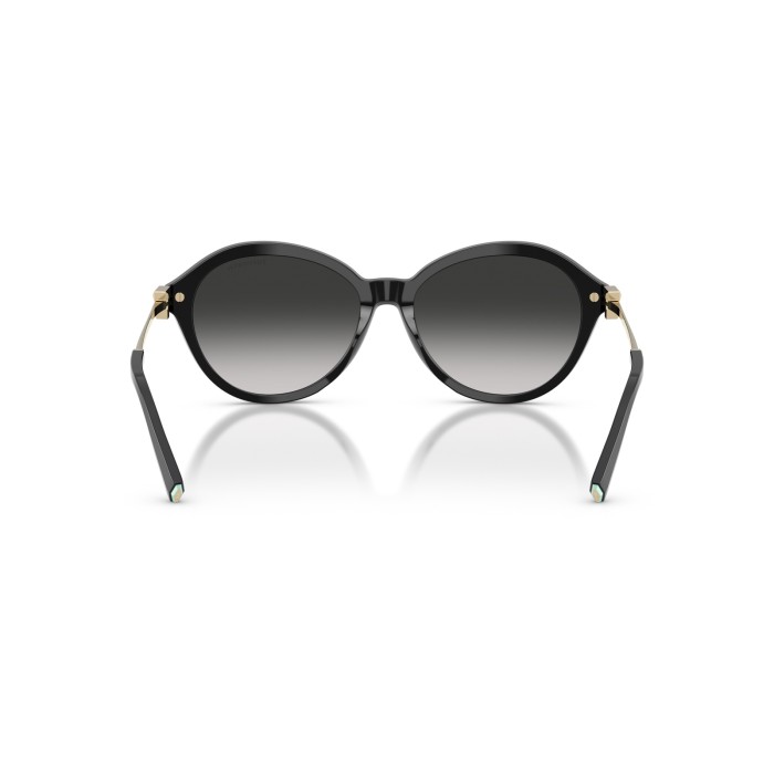 TIFFANY & CO. TF4259 80013C