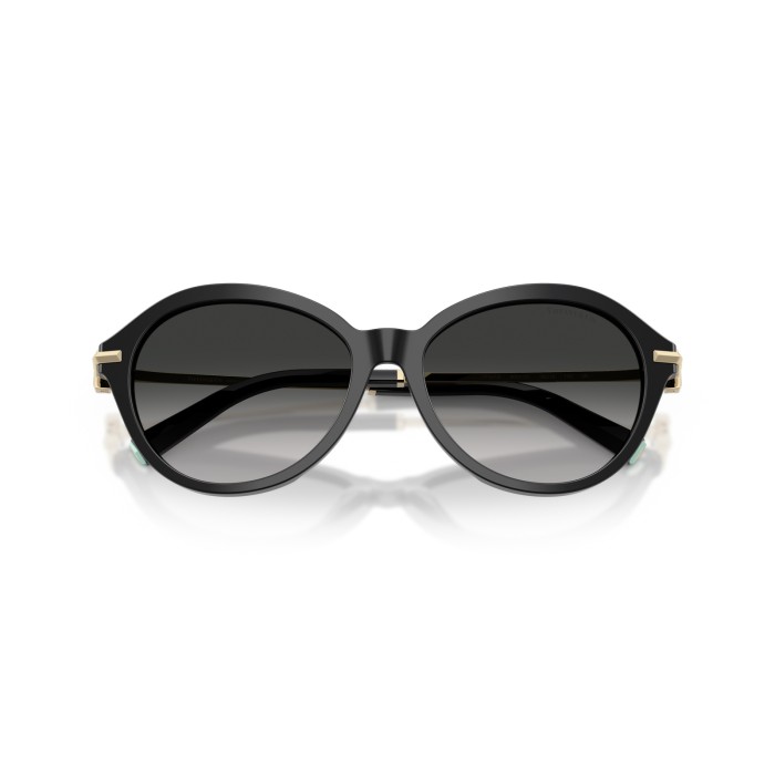 TIFFANY & CO. TF4259 80013C