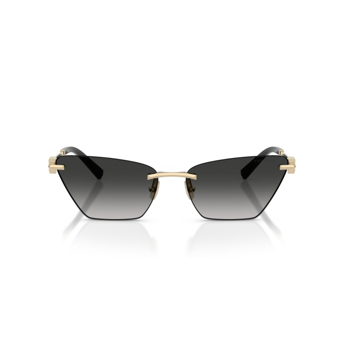 TIFFANY & CO. TF3120 62413C