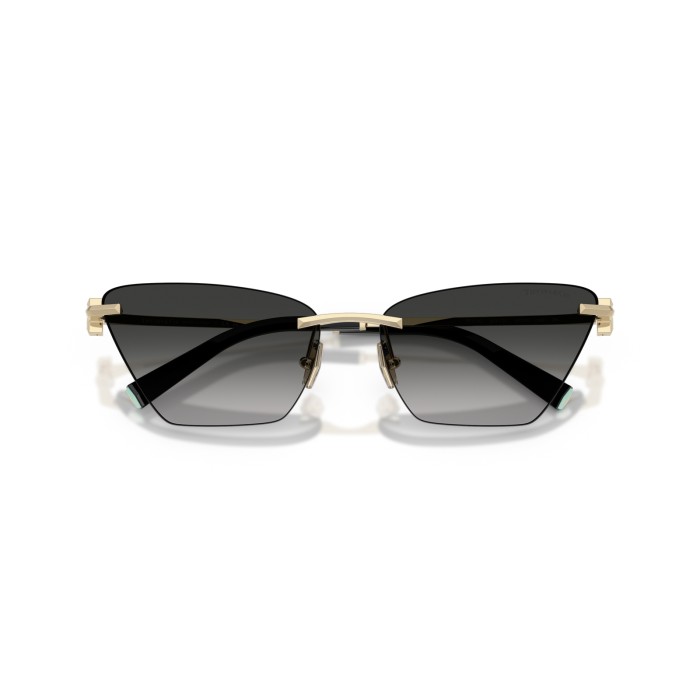 TIFFANY & CO. TF3120 62413C