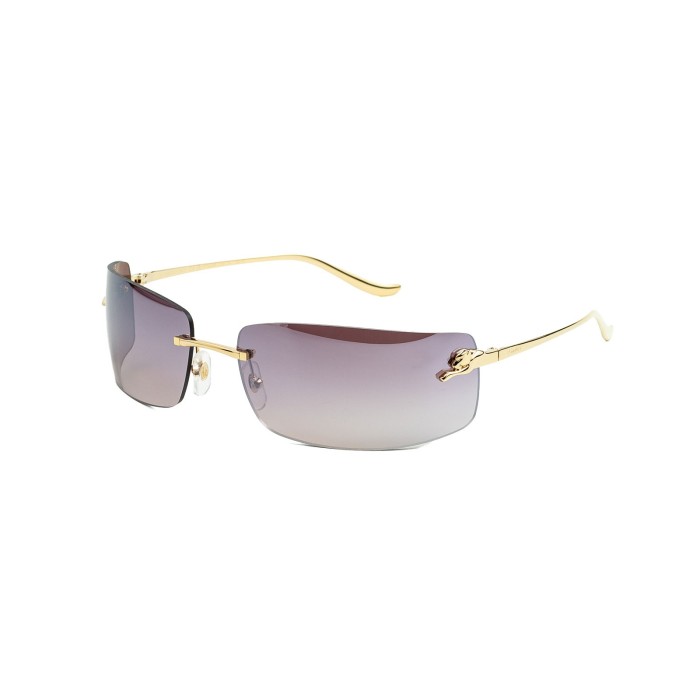 CARTIER CT0503S 003 | Sunglasses | Vytria Eyewear