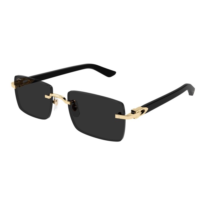 CARTIER CT0579S 001 | Sunglasses | Vytria Eyewear