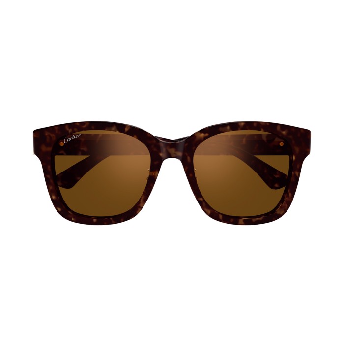Cartier Double C CT0589SA 002