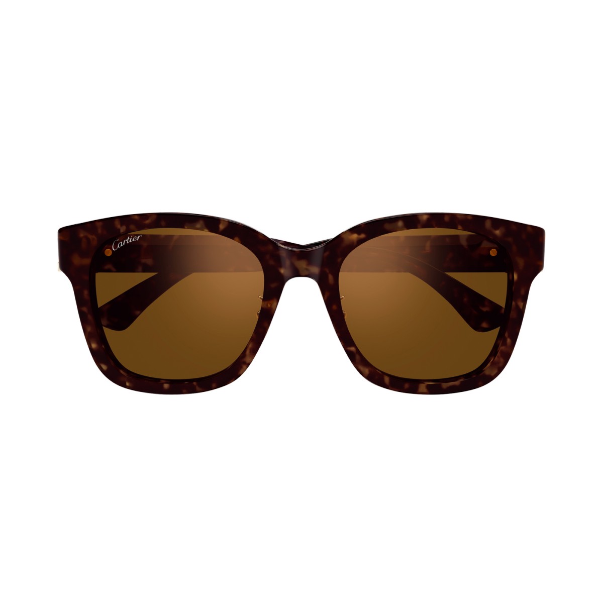 CARTIER CT0589SA 002 | Sunglasses | Vytria Eyewear