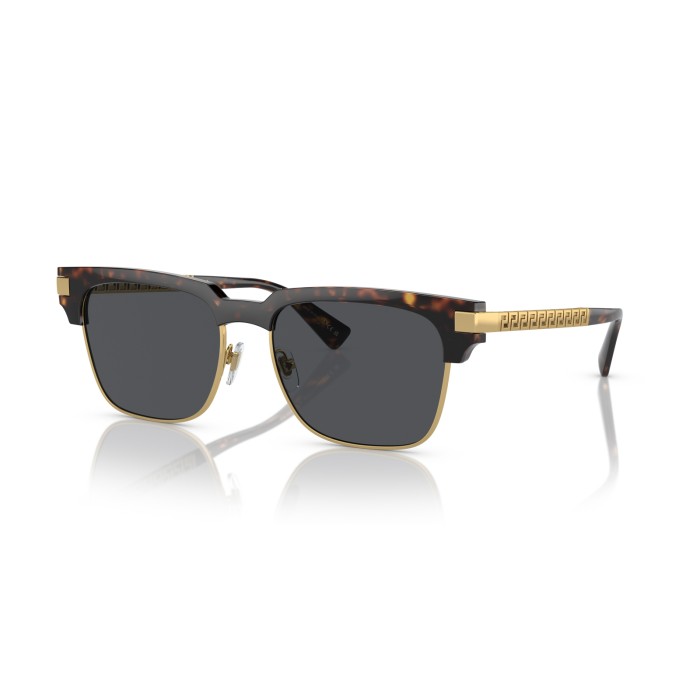 VERSACE VE4447 10887 | Gafas de sol | Vytria Eyewear