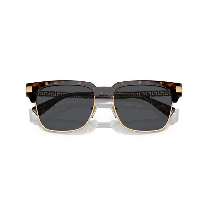 VERSACE VE4447  10887