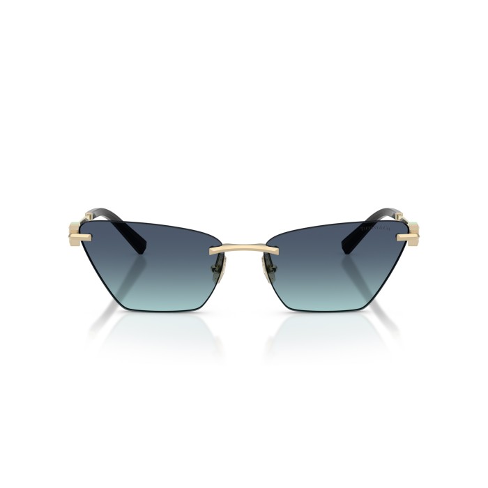 TIFFANY & CO. TF3120 60219S