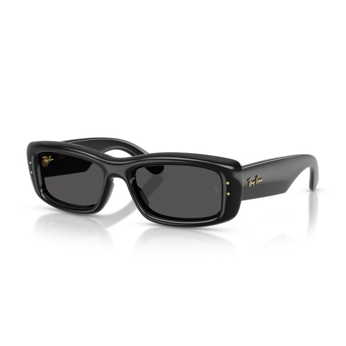 RAY BAN RB4944 60187 | Sunglasses | Vytria Eyewear