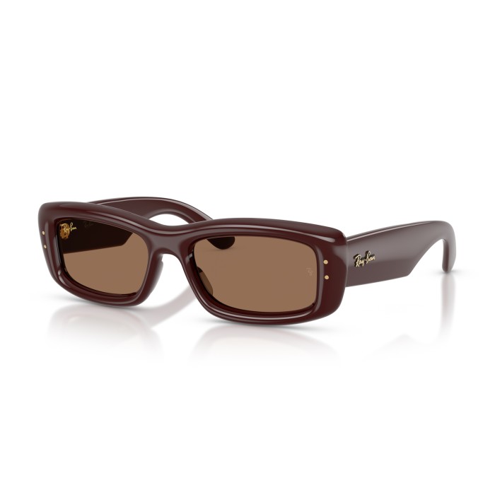 RAY BAN RB4944 687773 | Sunglasses | Vytria Eyewear