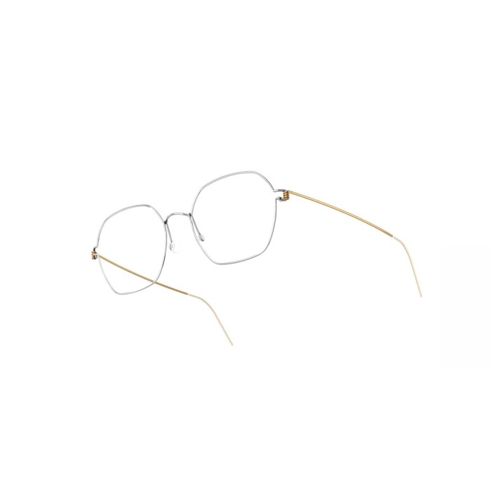 LINDBERG RICHELLE P60