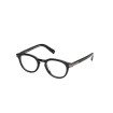 ZEGNA EZ5346 001