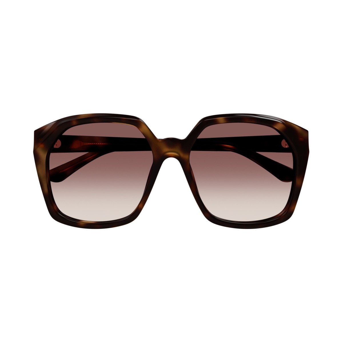 CHLOE CH0280S 006 | Sunglasses | Vytria Eyewear