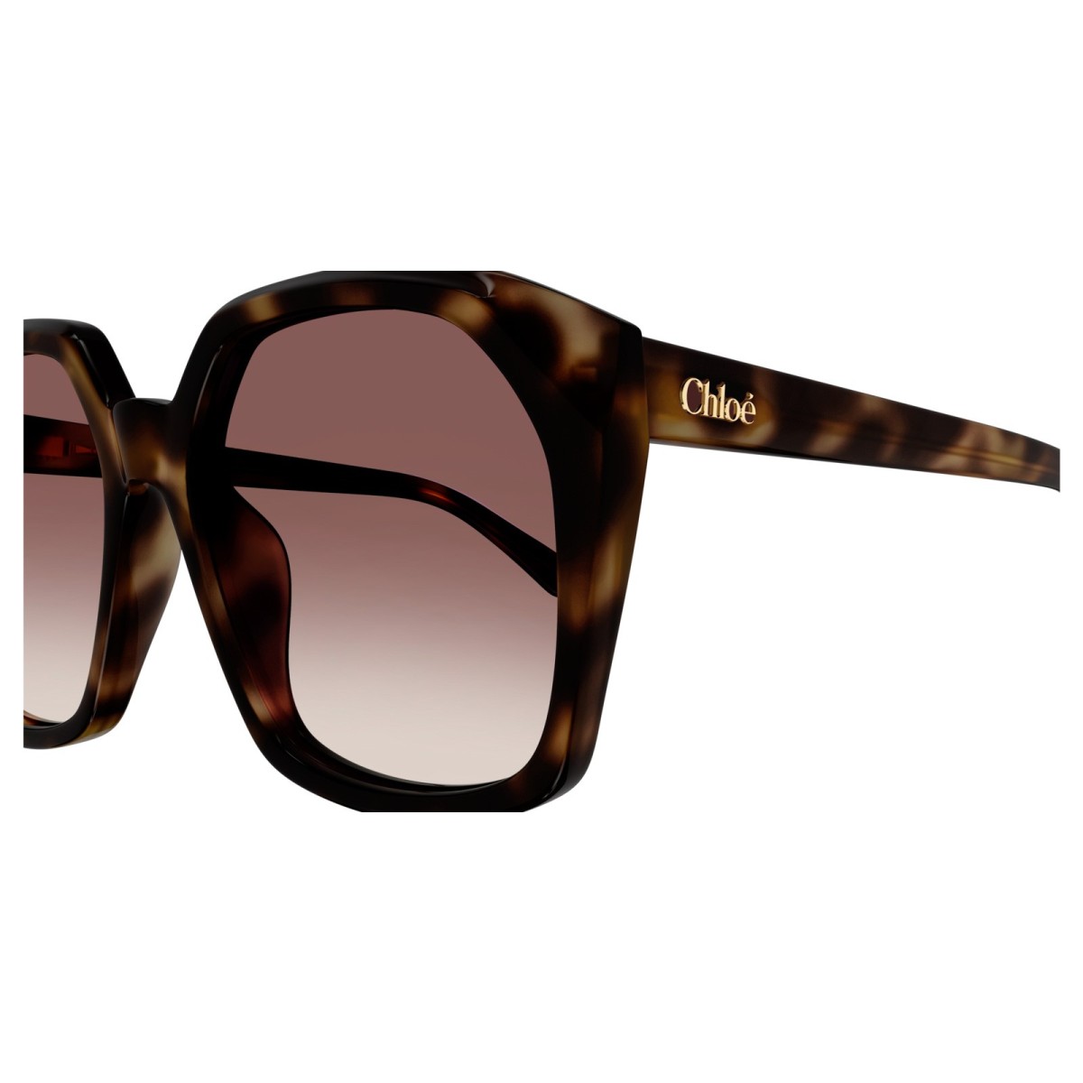 CHLOE CH0280S 006 | Sunglasses | Vytria Eyewear